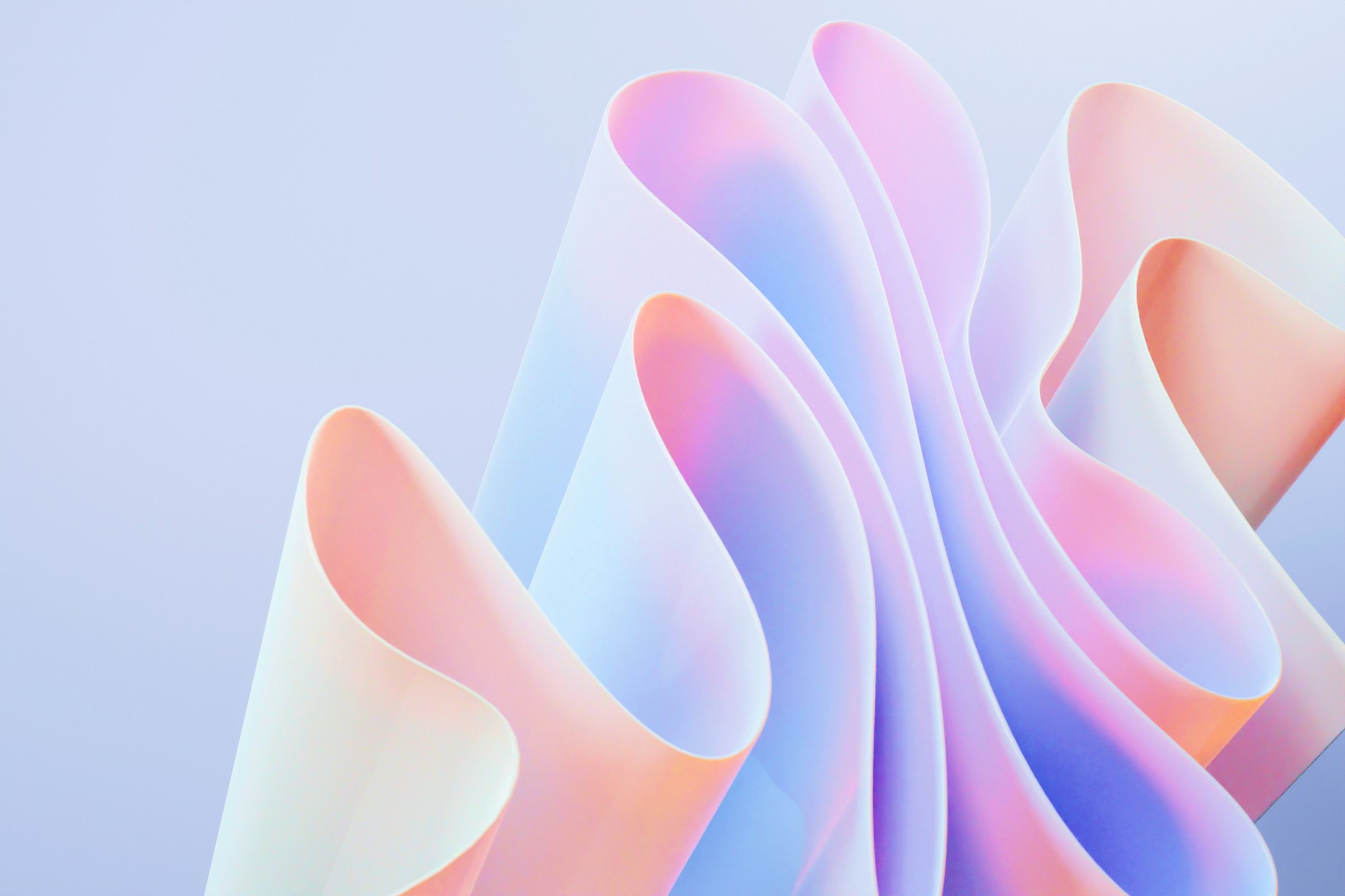 Exploring why we perceive something as beautiful