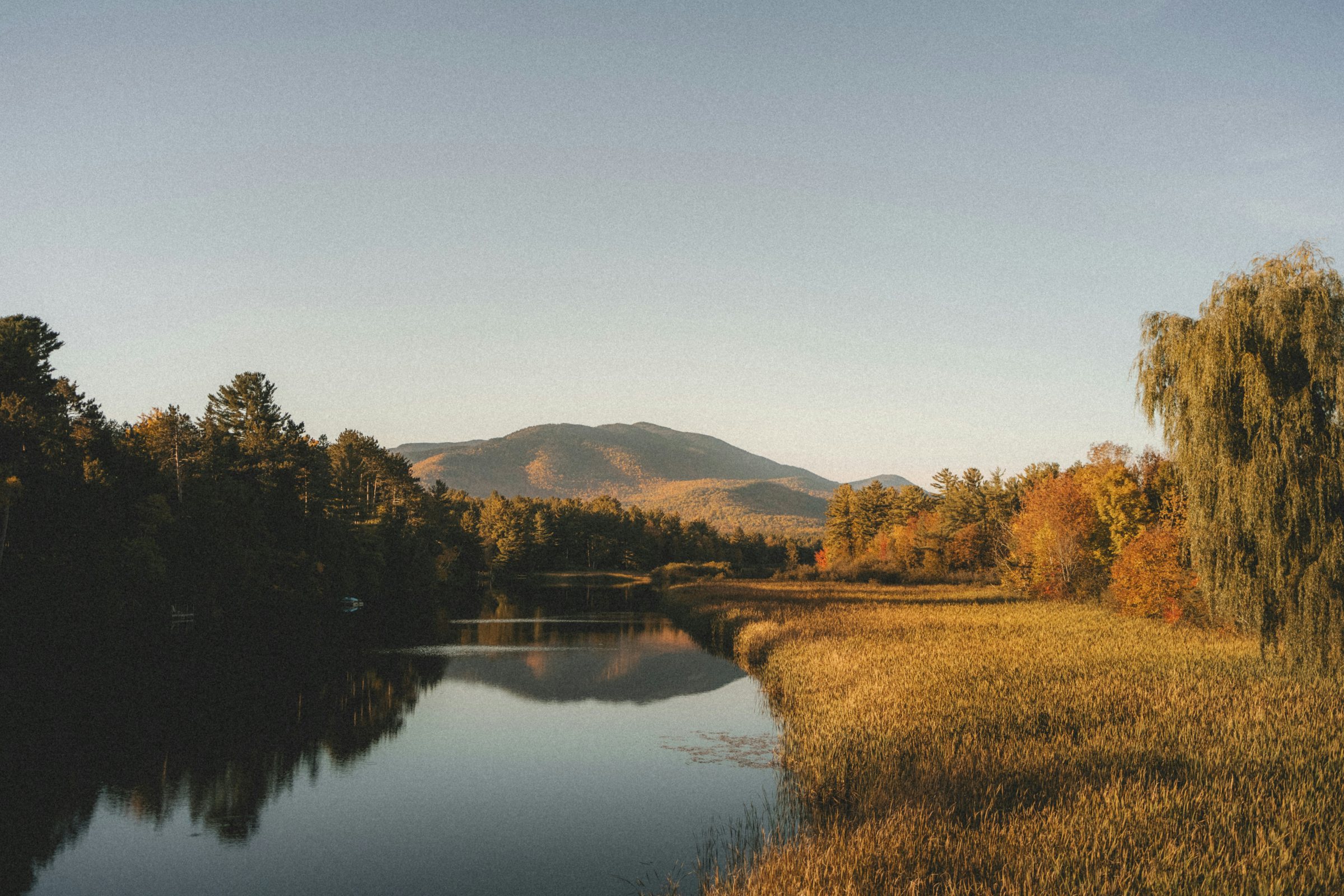 Exploring why we perceive something as beautiful